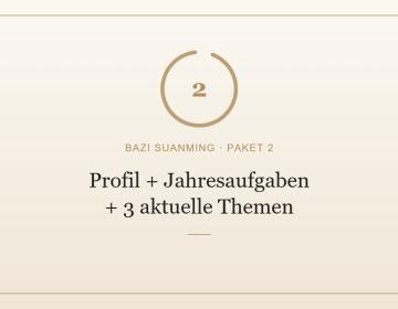 Pers&ouml;nlichkeitsprofil + Jahresaufgaben + 3 aktuelle Themen