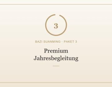 Premium: Lebensarchitektur + Karmischer Auftrag + Business + Jahresbegleitung