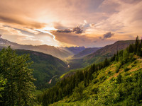 Entdecken Sie die Kraft der Natur mit meinem ganzheitlichen Natur-Coaching zur Stressbew&auml;ltigung!