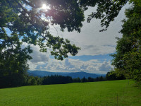 Raus aus dem Alltag &ndash; Rein ins Wald-Abenteuer!