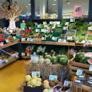 Biomarkt Naturalia in Friesenheim