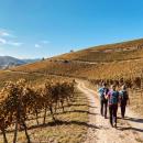 Oberkircher Weinwanderung: Von der H&ouml;ll ins Paradies